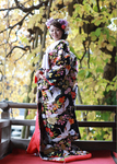 photo-kimono-4.jpg